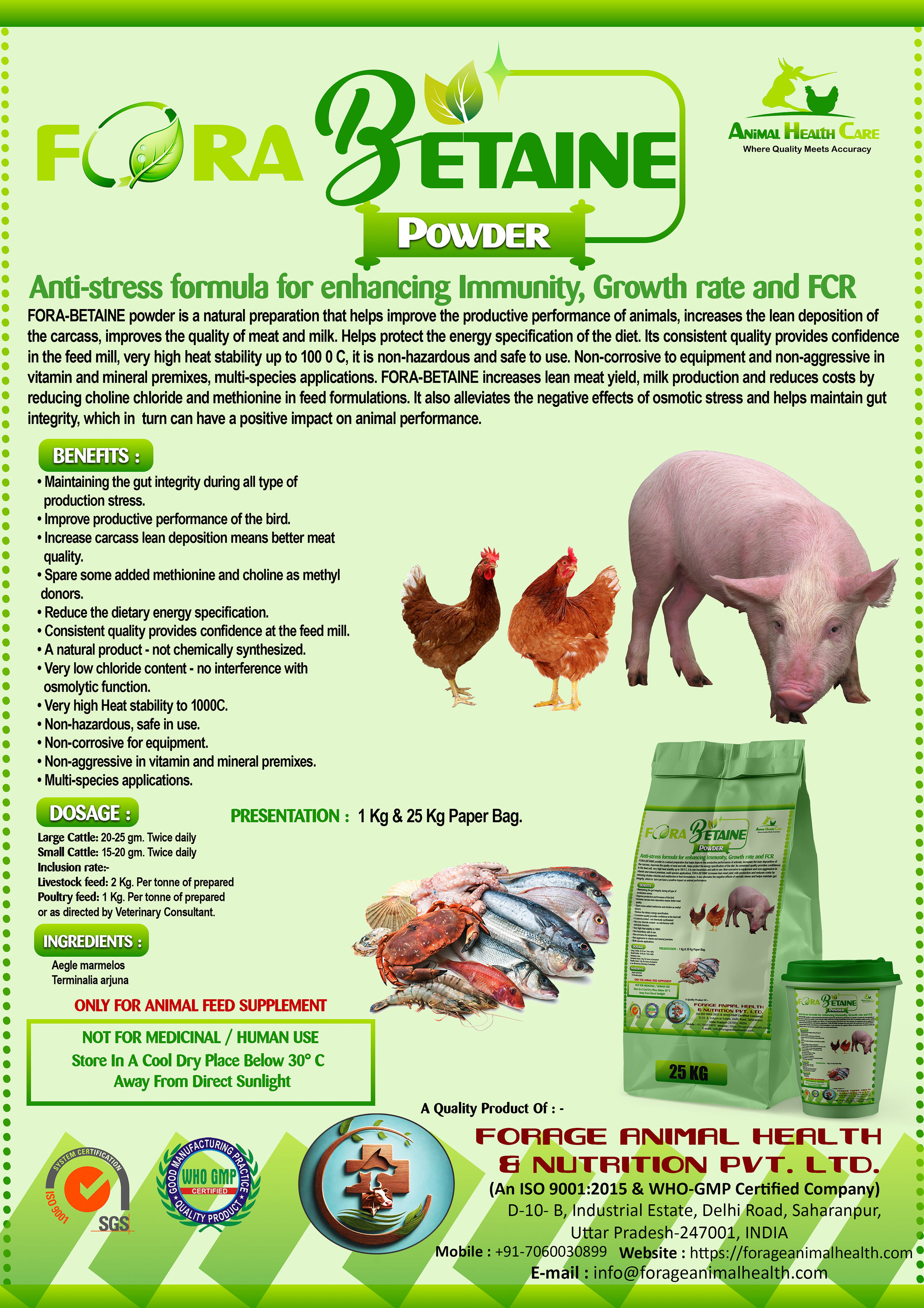 FORA BETAINE FORA BETAINE