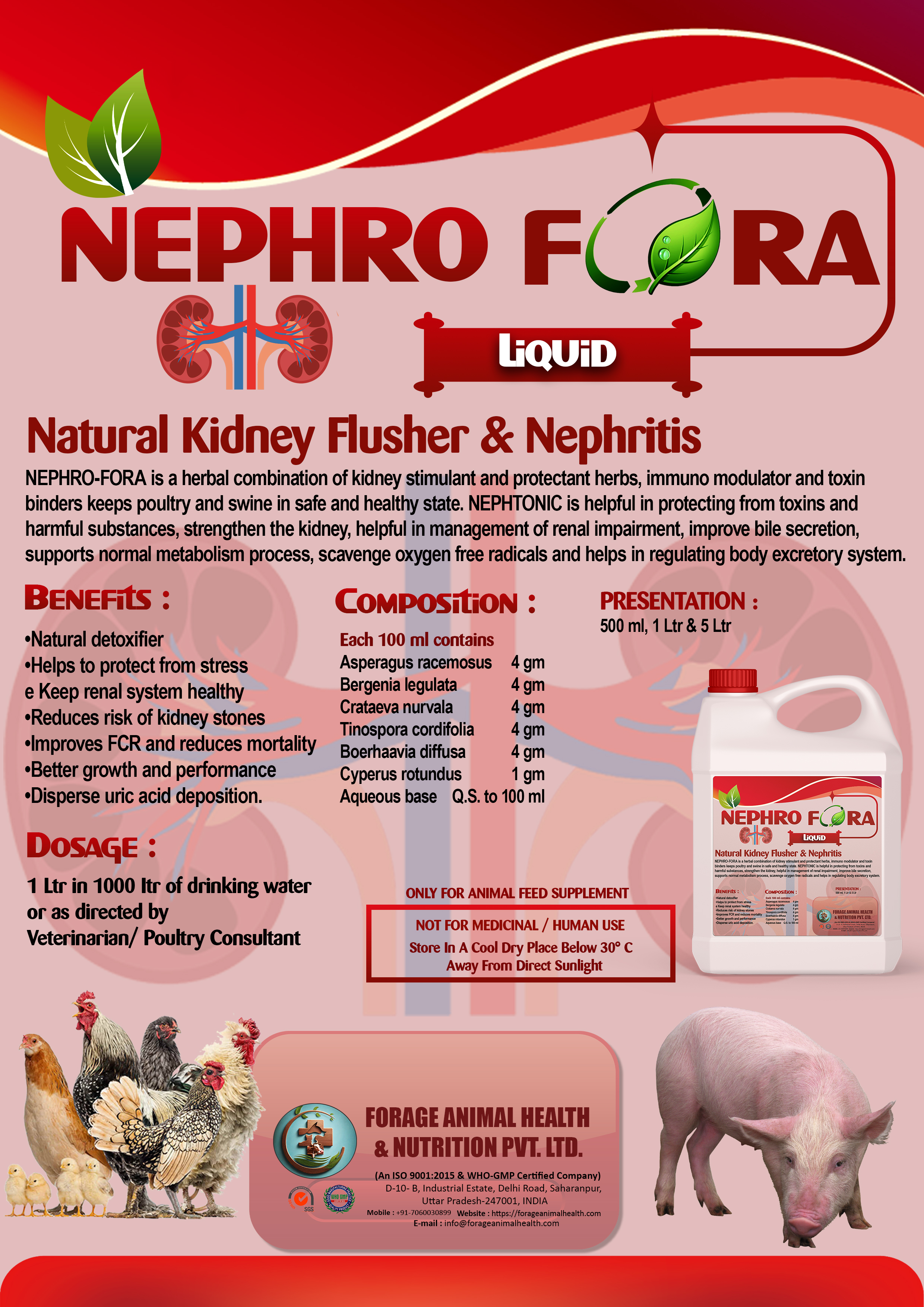 NEPHRO FORA NEPHRO FORA