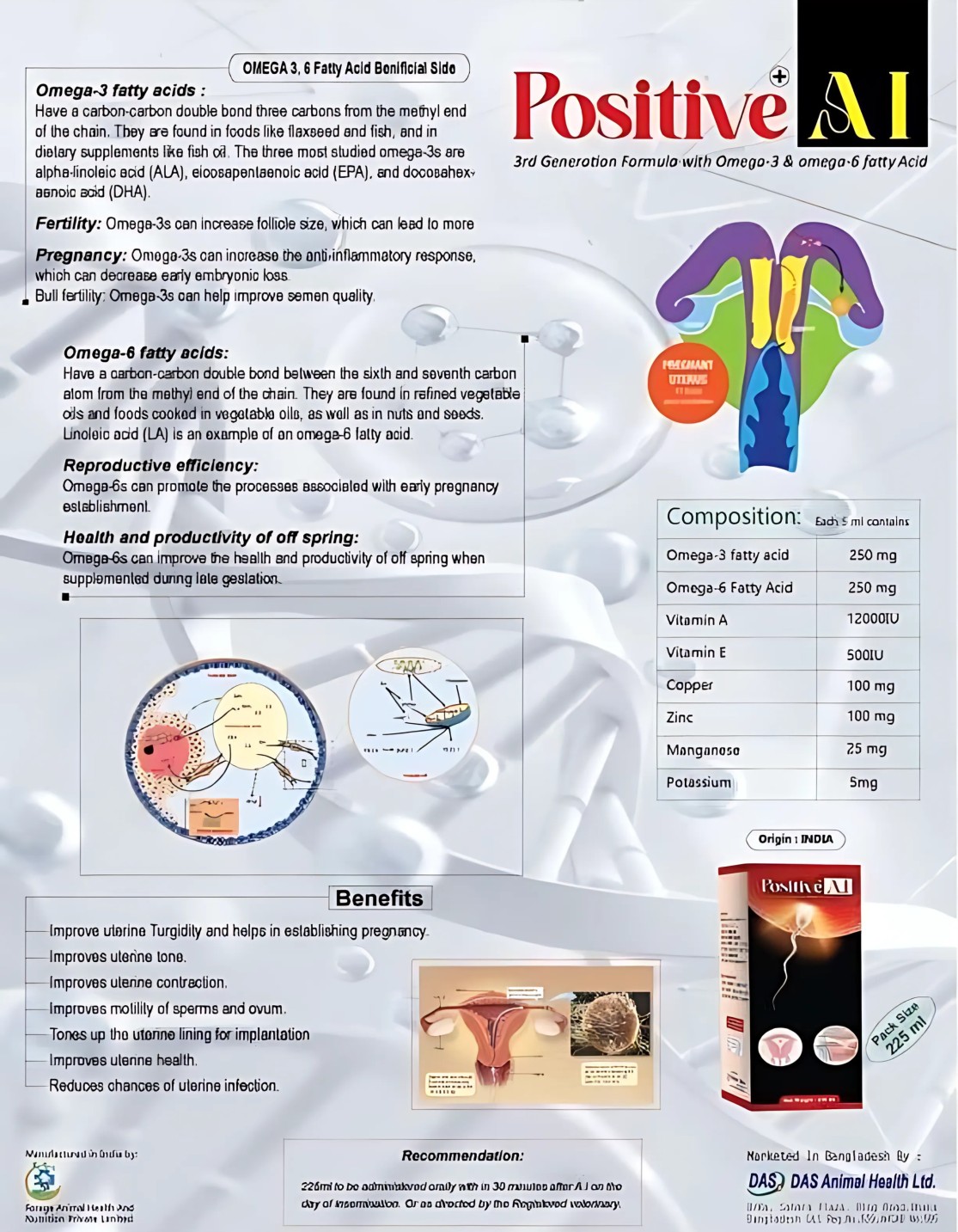 Positive AI Positive AI