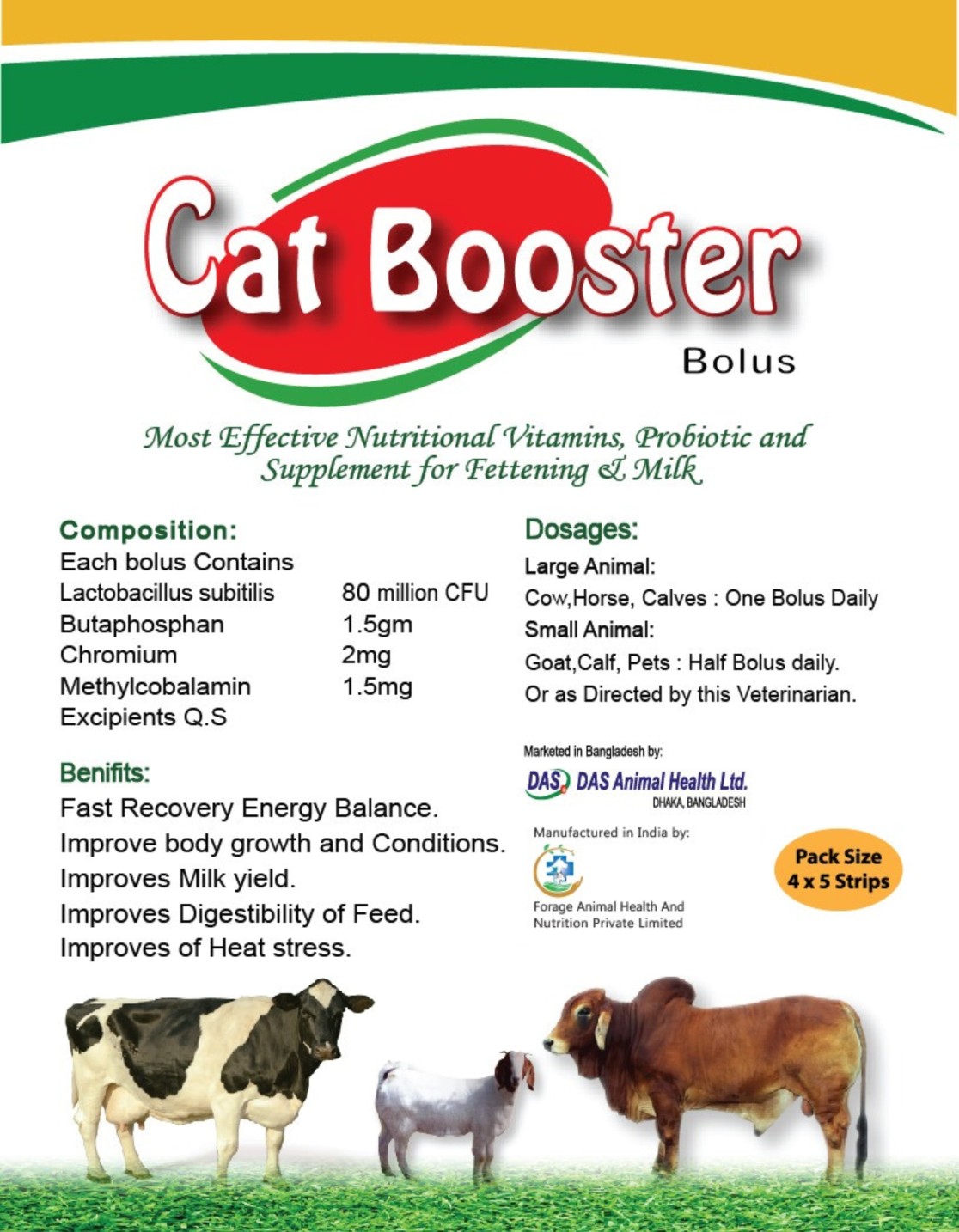Cat Booster Cat Booster